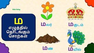 ம எழுத்தில் தொடங்கும் சொற்கள் |ம எழுத்து சொற்கள் படங்கள் |ma eluthil thodakum sorkal