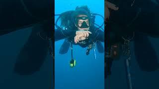 Cute Scuba Girl has proper trim