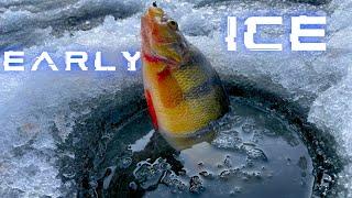 Early Ice! Catching Multi Species! JUMBO Perch! Best Day Ever Fishing!