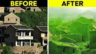 INSANE Times Nature Took OVER Cities..