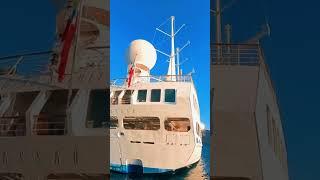 Wind Spirit anchored in the Caldera of Santorini! #santorini #travel #greece #cruiseship #insta360