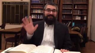 07 - Vayetze - Rabbi Mendel Kaplan - Lessons From An Ancient flock of Jacob sheep (2016 12 08 - Pla