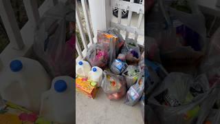 I GOTTA FEED MY KIDS️ #food #shopping #foryou #explore #haul #sahm #cooking #fyp