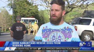 Good Samaritans rescue dogs from burning home in South Knox County