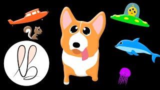 Corgi Adventures! Fun Music and Animation ! High Contrast Sensory - Lottie Bunny