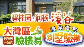 【碧陶居‧大灣區物業專門店】碧桂園潤揚溪谷 -- 別墅驗樓大拆解！最強攻略！一片睇哂！