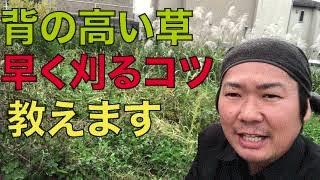 【背の高い草】刈るときのコツを教えます