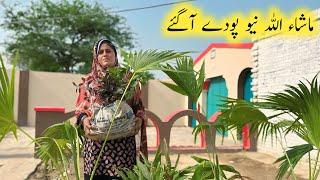Village Morning Routine  Meri Subha Ki Routine|Mudhouse life Pakistan|SajidaVillageVlog