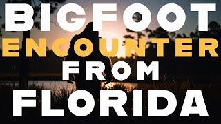 A BIGFOOT ENCOUNTER FROM THE STATE OF FLORIDA | THE SKUNK APE ROAMS THE WILDERNESS