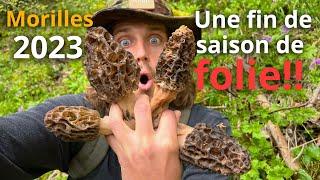 La DERNIÈRE récolte de MORILLES 2023 est INCROYABLE!