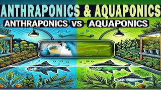 Hydroponics Training - Episode 23 (Anthraponics & Aquaponics System)   Hydroponic Farming Training