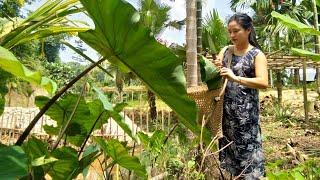 Taro Leaves Curry recipe | Dried Taro leaves Ao Naga Authentic Food