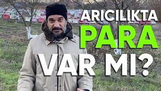 Arıcılık İşinde Para Varmı?