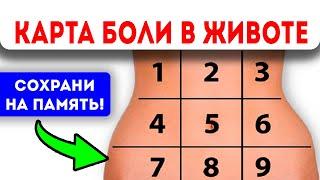 Вот как БЫСТРО УЗНАТЬ, почему у Вас БОЛИТ ЖИВОТ! Карта боли в животе