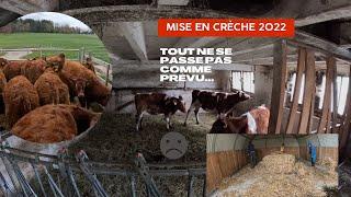 Mise En Crèche 2022 !!!