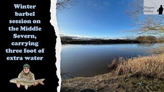 December barbel fishing on an 'up' River Severn