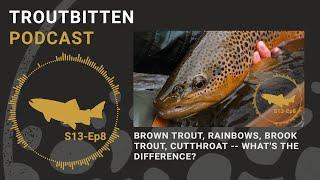 Brown Trout, Rainbow, Brook Trout, Cutthroat - What's the Difference? Troutbitten Podcast - S13, Ep7