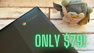 Lenovo Chromebook 3 11.6" Review - Great Gift!