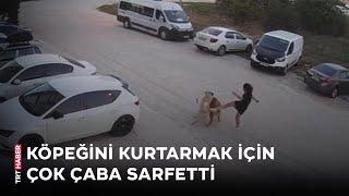 Köpeğini gezdiren kadına başıboş köpek saldırdı