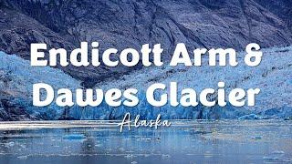 Endicott Arm and Dawes Glacier | Alaska Cruise | Celebrity Solstice