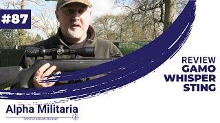 Gamo Whisper Sting. Top performing budget spring-powered air rifle. Full test and review.