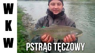 Pstrąg Tęczowy - wędkowanie w górach| Tatry - Biały Dunajec |Wędkarstwo muchowe|