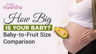 Fetal Development Week By Week - Size Comparison with Fruits and Veggies | Baby Development In Womb