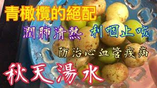 《秋天湯水》4種材料利咽止咳潤肺清熱預防心血管疾病️潤腸通便防癌 Autumn Soup