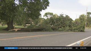 Storm Topples Huge Tree As It Moves Through Toms River, NJ