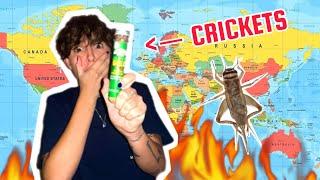 I Ate the GROSSEST Foods from Around the World 