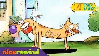 CatDog’s First & Last Scenes | Nicktoons