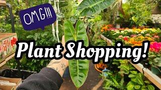 SHOCKING RARE PLANT FINDS!  can't believe I found these so CHEAP while plant shopping in New York!