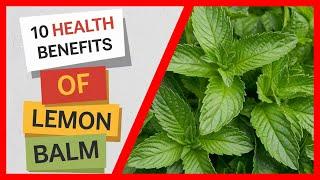 LEMON BALM MIRACLE! Top 10 Health Benefits You Need to Know