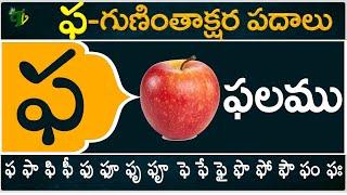 ఫ గుణింతాక్షర పదాలు | Pha Guninthakshara Padalu | Pha Gunintham padalu in telugu | Telugu Vanam