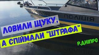 ловили щуку, а спіймали штраф#щука#окунь#спінінг#риболовлякиїв