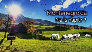 Montenegro'da Ne İş Yapılır ?