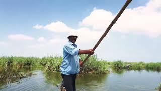 Al-Tamimi: I have no other source of income other than fishing