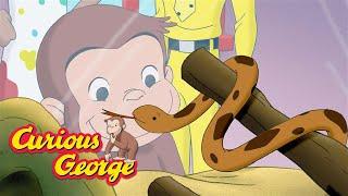 George's New Snake Friend!  Curious George  Kids Cartoon  Kids Movies