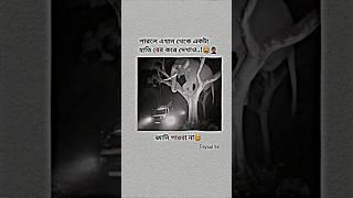 পারলে বের করে দিখাও..?‍️ #banglacomady #memes #funny #trendingmusic #comedymemes #shorts #funny