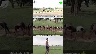 Running workout #short  || Racer Vikash Yadav