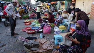 Cambodia Evening Street Market - Daily Activities & Lifestyle of Vendors Selling Food For Dinner