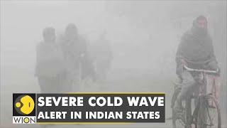 Freezing temperatures in North Indian belt, 5 states brace for severe winter | World English News