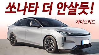 1000만원대 대형 하이브리드! 한번주유 2000km 이상 주행! 쏘나타, 그랜져 직격탄!