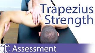 Trapezius Strength Test