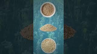The Economic Powerhouse on Your Dinner Table - Corn #shorts