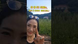 #언니가간다#장금희#자존심 "야들아!"이제   "모든진실#[법이]알아 다해준다자니!