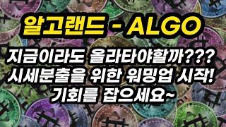 알고랜드 - ALGO 투자포인트│지금이라도 올라타야할까??? 시세분출을 위한 워밍업 시작! 기회를 잡으세요~