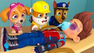 Good Bye Rider!! - All Paw Patrol Very Sad Story || Paw Patrol 3D Animation