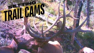 SETTING TRAIL CAMS FOR MY ELK HUNT