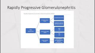 Internal Medicine-Nephrology Board Review Questions, Glomerulonephritis